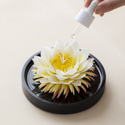 Handmade Ceramic Epiphyllum Aroma Diffuser Intangible Cultural Heritage Gift Box