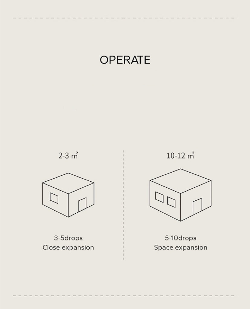 Handmade Ceramic Epiphyllum Aroma Diffuser Intangible Cultural Heritage Gift Box