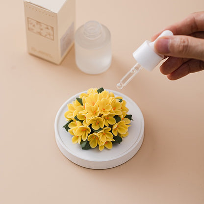 Osmanthus Handmade Ceramic Aroma Diffuser